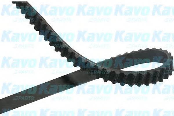 Ремень ГРМ KAVO PARTS DTB-5552