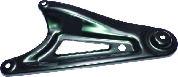 Рычаг независимой подвески колеса, подвеска колеса BIRTH 50919