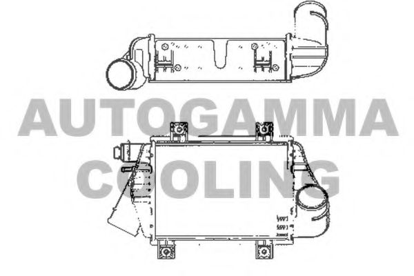 Интеркулер AUTOGAMMA 101966