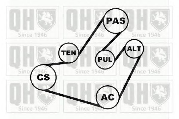 Поликлиновой ременный комплект QUINTON HAZELL QDK66