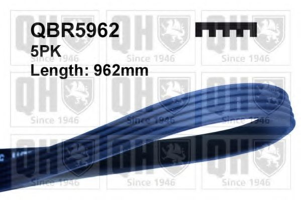 Поликлиновой ремень QUINTON HAZELL QBR5962