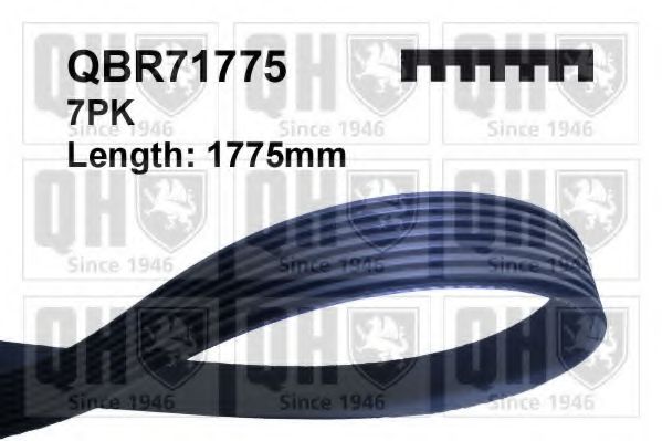 Поликлиновой ремень QUINTON HAZELL QBR71775