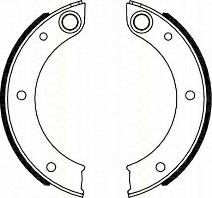 Комплект тормозных колодок, стояночная тормозная система TRISCAN 8100 20003
