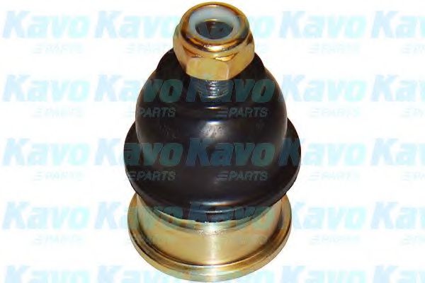 Несущий / направляющий шарнир KAVO PARTS SBJ-3031