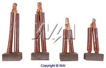 Угольная щетка, генератор WAIglobal PSX8990