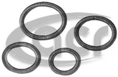 Ремкомплект уплотнительного кольца ACR 117082