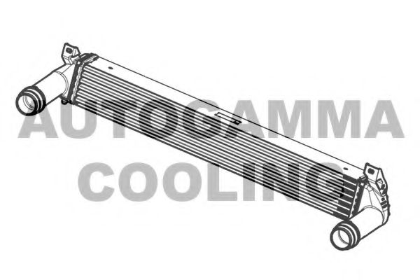 Интеркулер AUTOGAMMA 105948