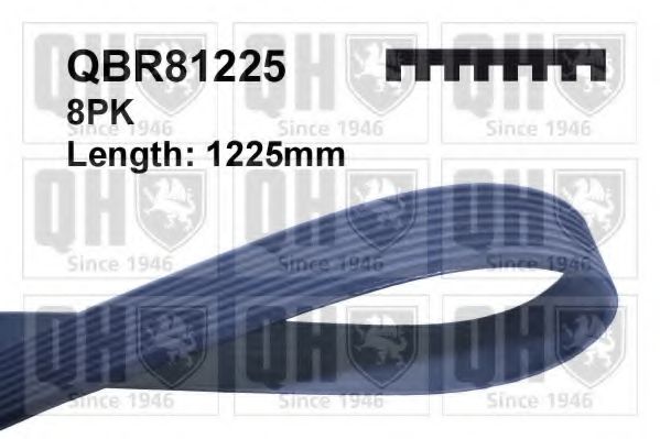 Поликлиновой ремень QUINTON HAZELL QBR81225