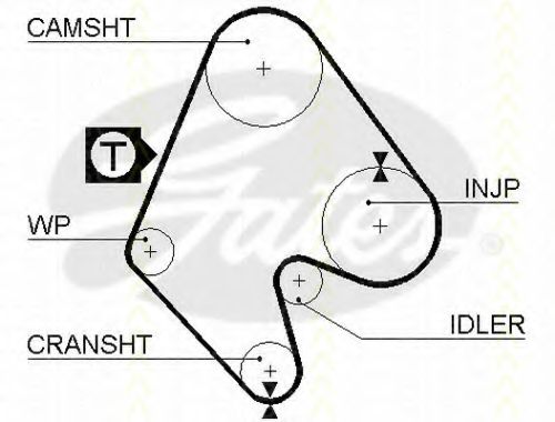 Ремень ГРМ PEX 202022