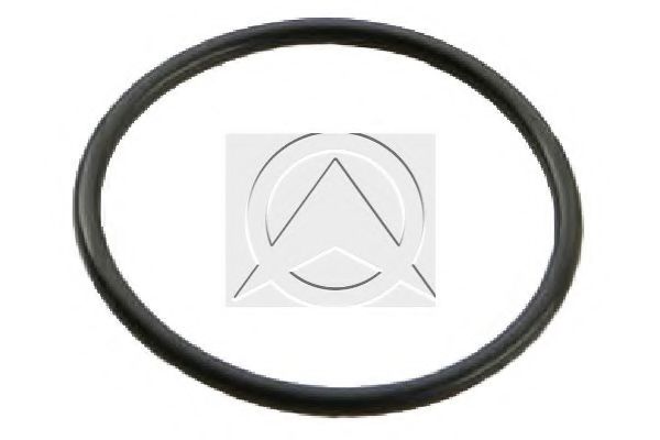 Уплотнительное кольцо SIDEM 62074