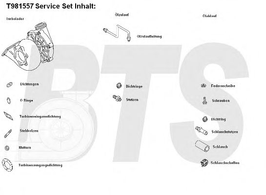 Компрессор, наддув BTS Turbo T981557