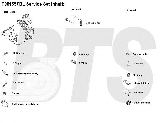 Компрессор, наддув BTS Turbo T981557BL