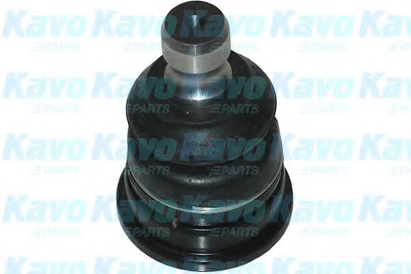 Несущий / направляющий шарнир KAVO PARTS SBJ-7501