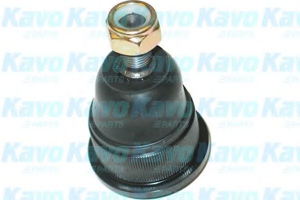 Несущий / направляющий шарнир KAVO PARTS SBJ-4506