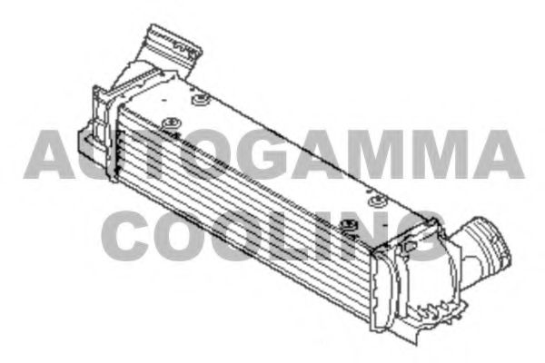 Интеркулер AUTOGAMMA 107334