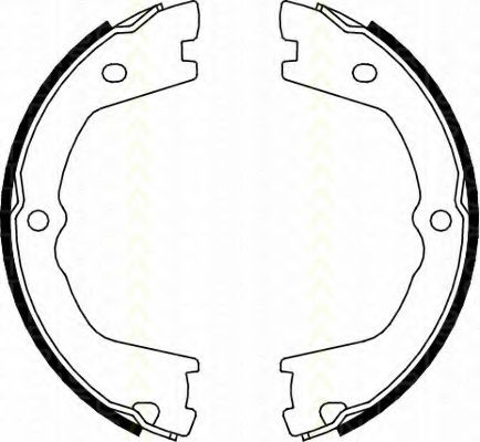 Комплект тормозных колодок, стояночная тормозная система TRISCAN 8100 15019