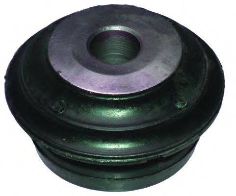 Подвеска, рычаг независимой подвески колеса BIRTH 2169