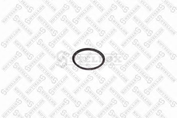 Уплотнительное кольцо, сателлит рессоры STELLOX 81-01001-SX