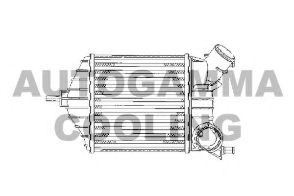 Интеркулер AUTOGAMMA 103166