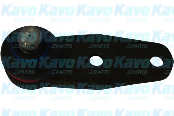 Несущий / направляющий шарнир KAVO PARTS SBJ-6545