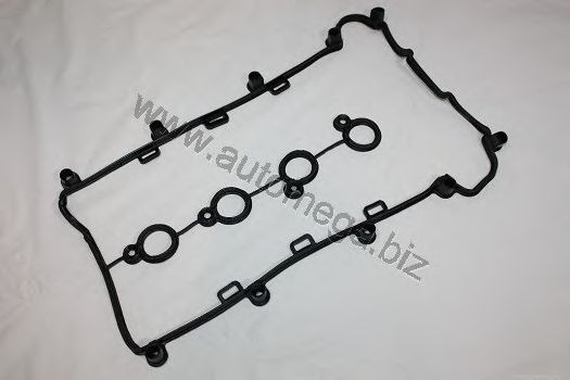 Прокладка, крышка головки цилиндра AUTOMEGA 1056070512