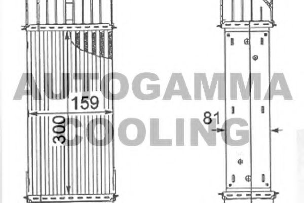Интеркулер AUTOGAMMA 105121