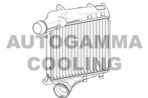 Интеркулер AUTOGAMMA 107555