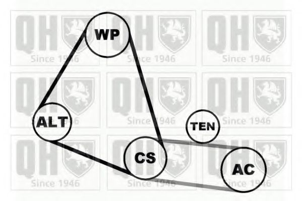 Поликлиновой ременный комплект QUINTON HAZELL QDK29