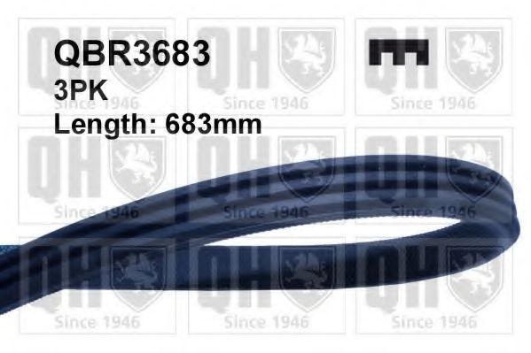 Поликлиновой ремень QUINTON HAZELL QBR3683