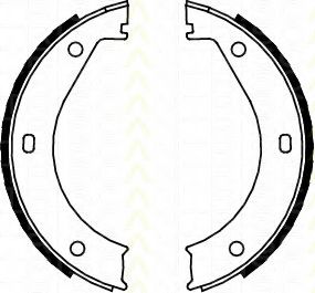 Комплект тормозных колодок, стояночная тормозная система TRISCAN 8100 11415