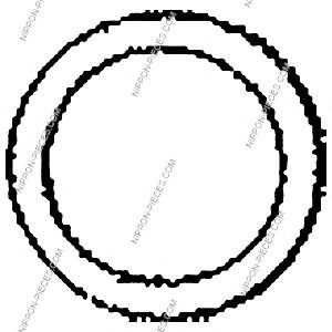Уплотнительное кольцо, труба выхлопного газа NPS T433A14