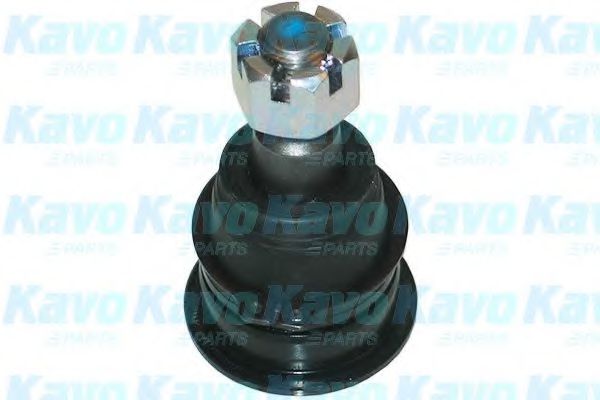 Несущий / направляющий шарнир KAVO PARTS SBJ-6538