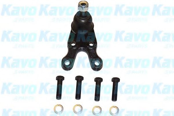 Несущий / направляющий шарнир KAVO PARTS SBJ-3024