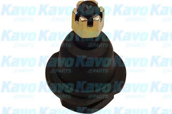 Несущий / направляющий шарнир KAVO PARTS SBJ-6501