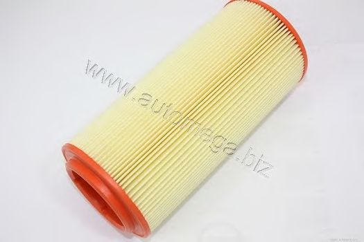 Воздушный фильтр AUTOMEGA 3012906206N0