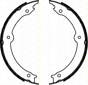 Комплект тормозных колодок, стояночная тормозная система TRISCAN 8100 13046