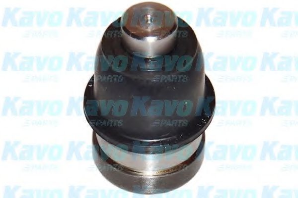 Несущий / направляющий шарнир KAVO PARTS SBJ-5522