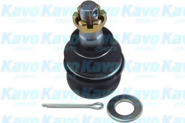 Несущий / направляющий шарнир KAVO PARTS SBJ-8001