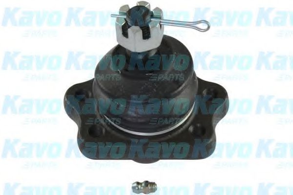 Несущий / направляющий шарнир KAVO PARTS SBJ-6556