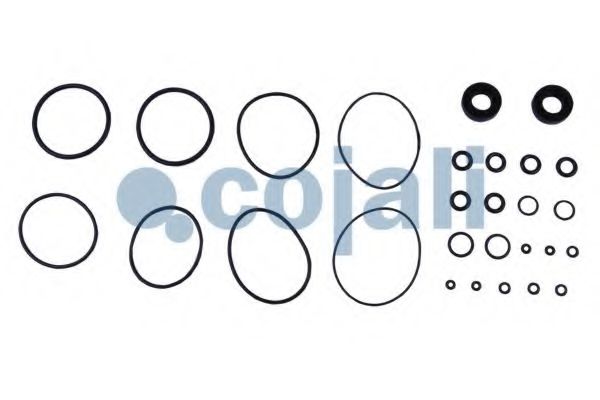 Ремкомплект COJALI 6014018