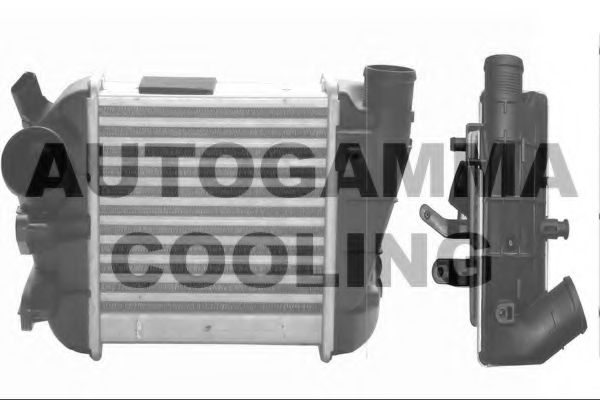 Интеркулер AUTOGAMMA 103770