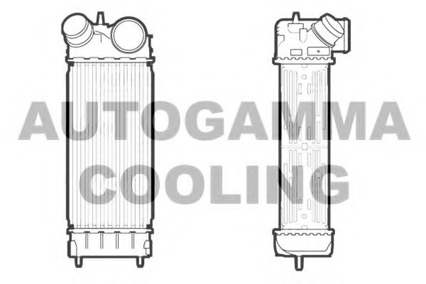 Интеркулер AUTOGAMMA 107116