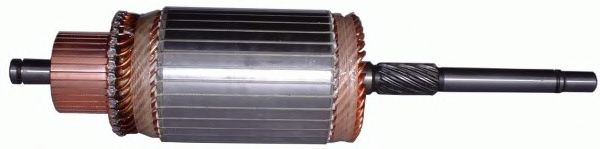 Якорь, стартер DELCO REMY 19024469