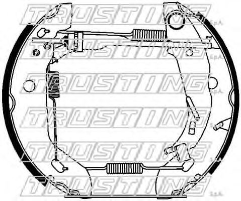 Комплект тормозных колодок TRUSTING 6450