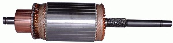 Якорь, стартер DELCO REMY 19024462