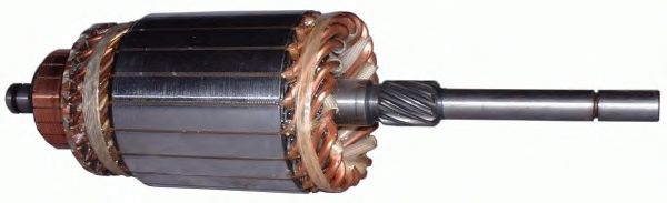 Якорь, стартер DELCO REMY 19024464