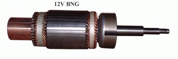 Якорь, стартер DELCO REMY 19024607