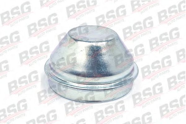 Крышка / защитный колпак BSG BSG 30-971-003