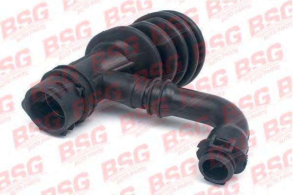 Шланг, система подачи воздуха BSG BSG 30-720-093