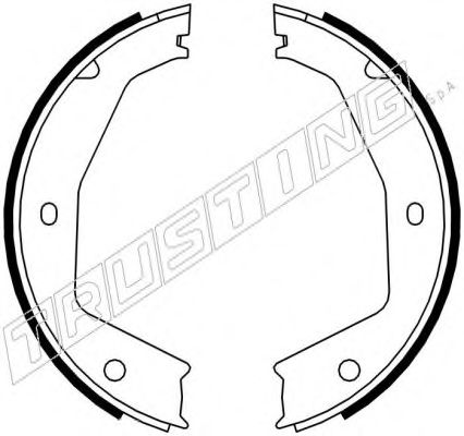 Комплект тормозных колодок, стояночная тормозная система TRUSTING 048.002